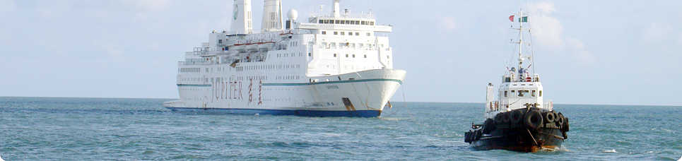 Công Ty Cổ Phần Lai Dắt và Vận Tải Chim Ưng ( Falcon T&T)